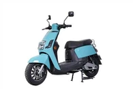 Elmoped skoter för vuxna 2000W