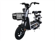 Stark ram kropp E cykel